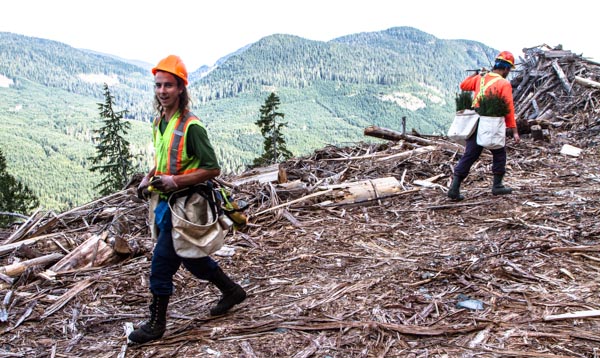 Tree planting photo essay