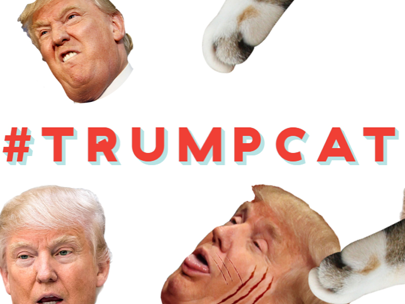Trump-Cat.jpg