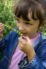 Small girl in garden