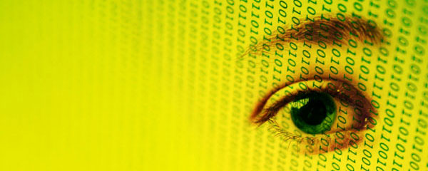 Yellow Eye, Privacy, 600 px