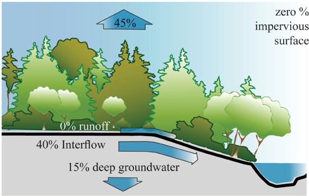 582px version of Graph of predevelopment hydrology