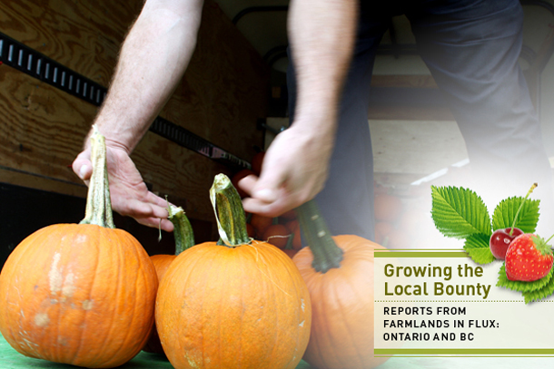 'Growing the Local Bounty' series logo