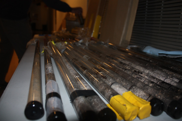 582px version of Herring core samples