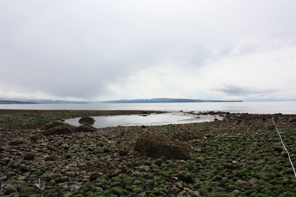 582px version of Fish traps