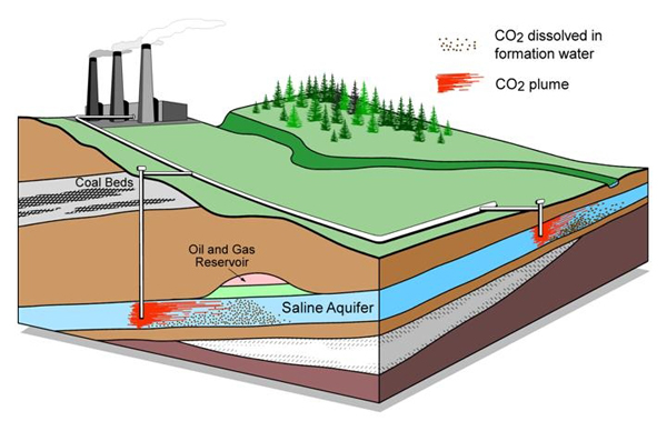 582px version of Carbon sequestration diagram