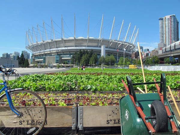 582px version of SOLEfood and BC Place