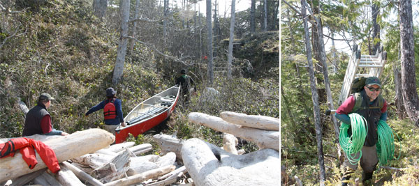 582px version of Archaeologist with canoe and ladder on Central Coast