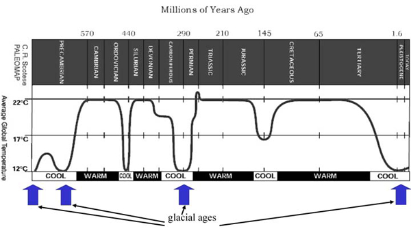 Paleo temp graph