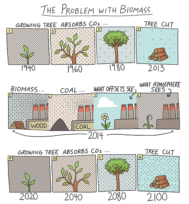 Biomass graphic
