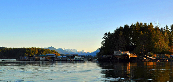 582px version of Tofino homes