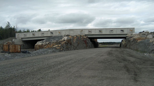 Chilliwack Toad Tunnel Bridges Human-caused Gap | The Tyee