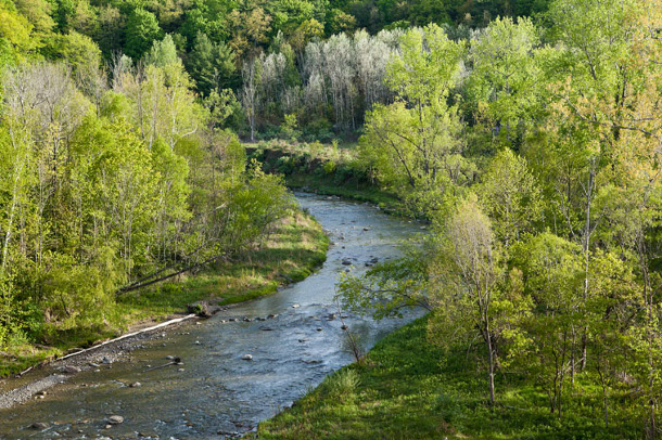 582px version of Rouge River