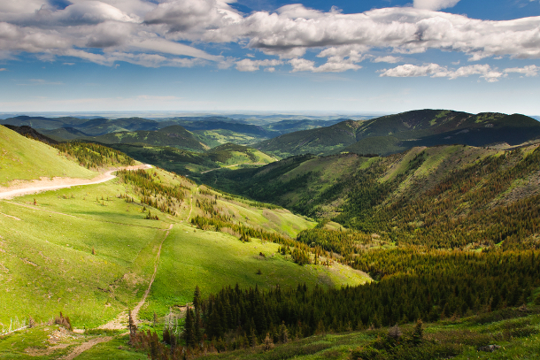 582px version of Alberta foothills forest