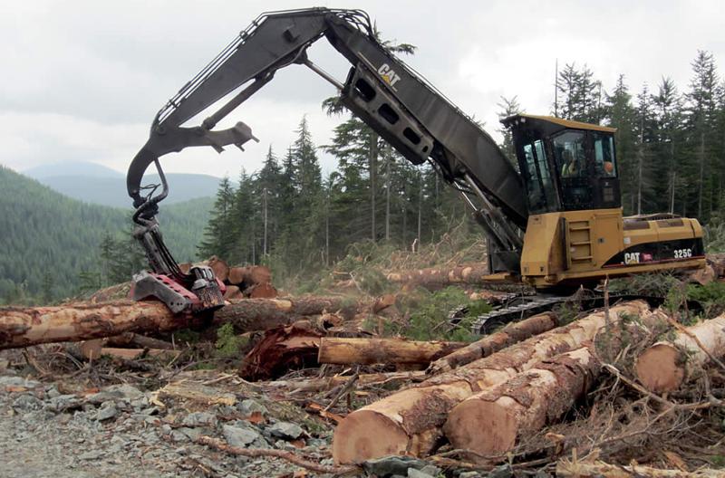 BC Forest Policy Killing Jobs in Small Communities, Say Critics