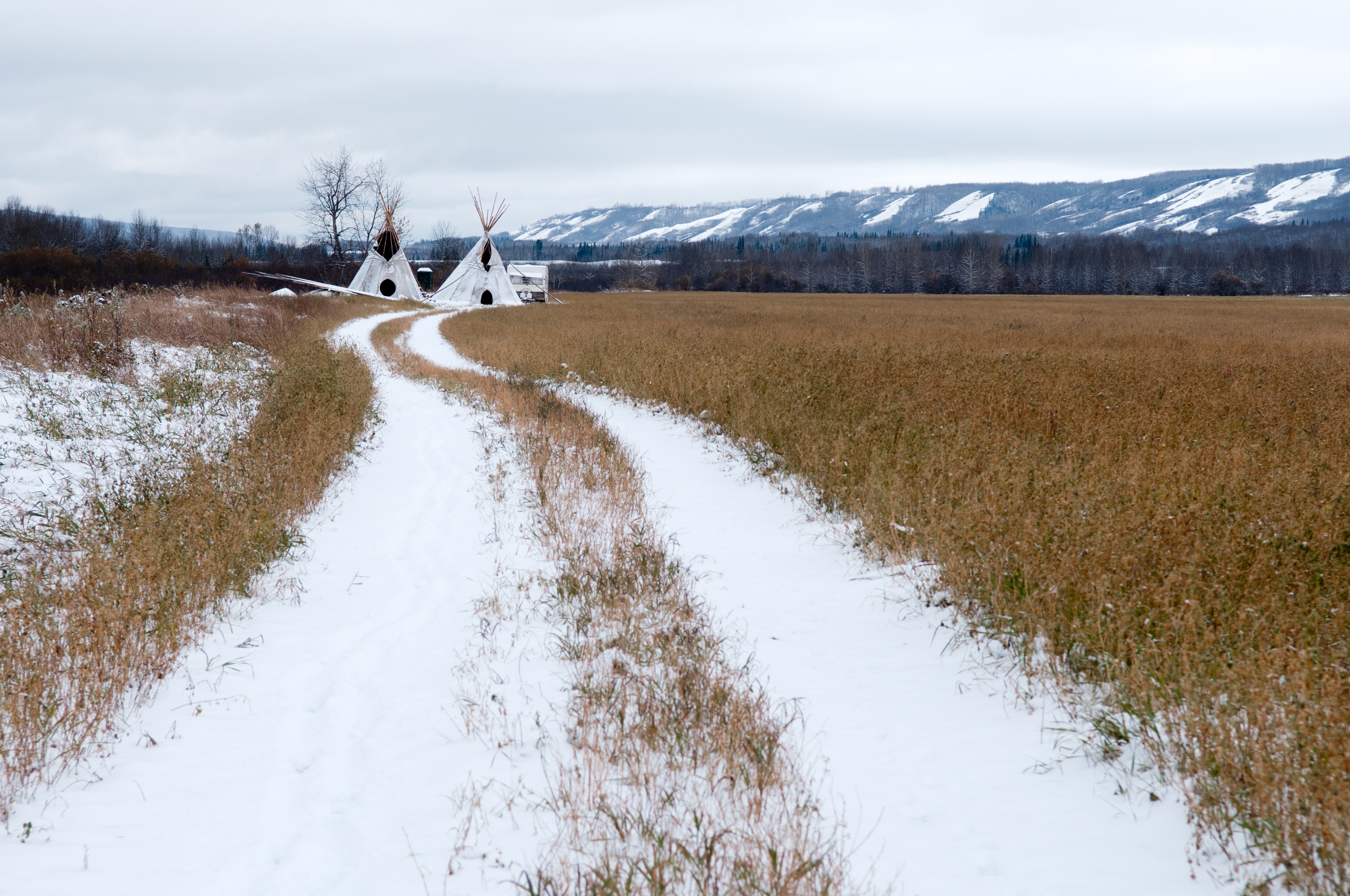 Two snow-covered tire tracks lead through a field of brown stubble toward two white teepees. In the distance the bank of the Peace River rises above the landscape.