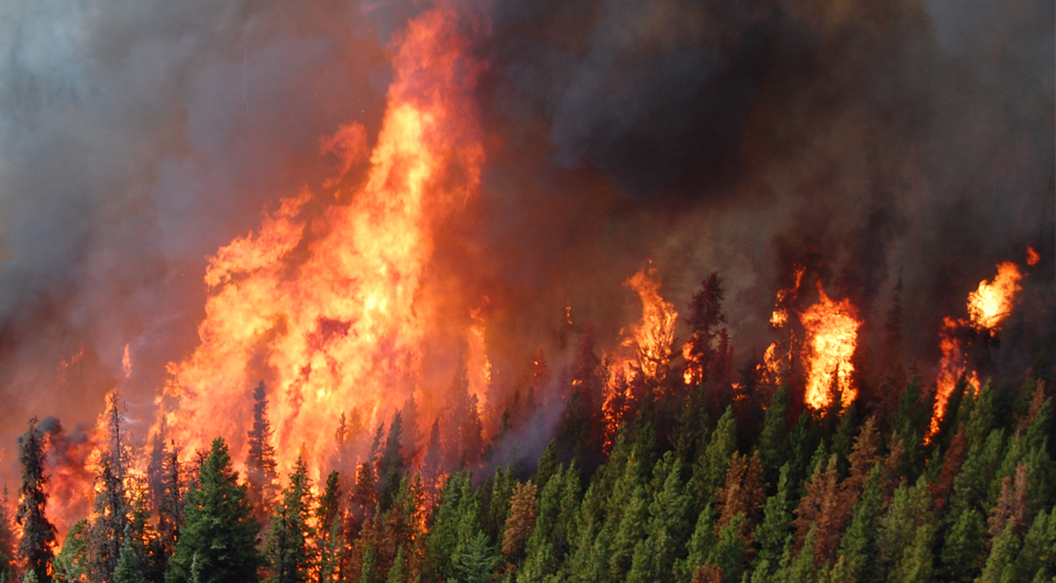 Wildfires: Should BC Do More to Help Homeowners 'Stay and Defend'? | The Tyee