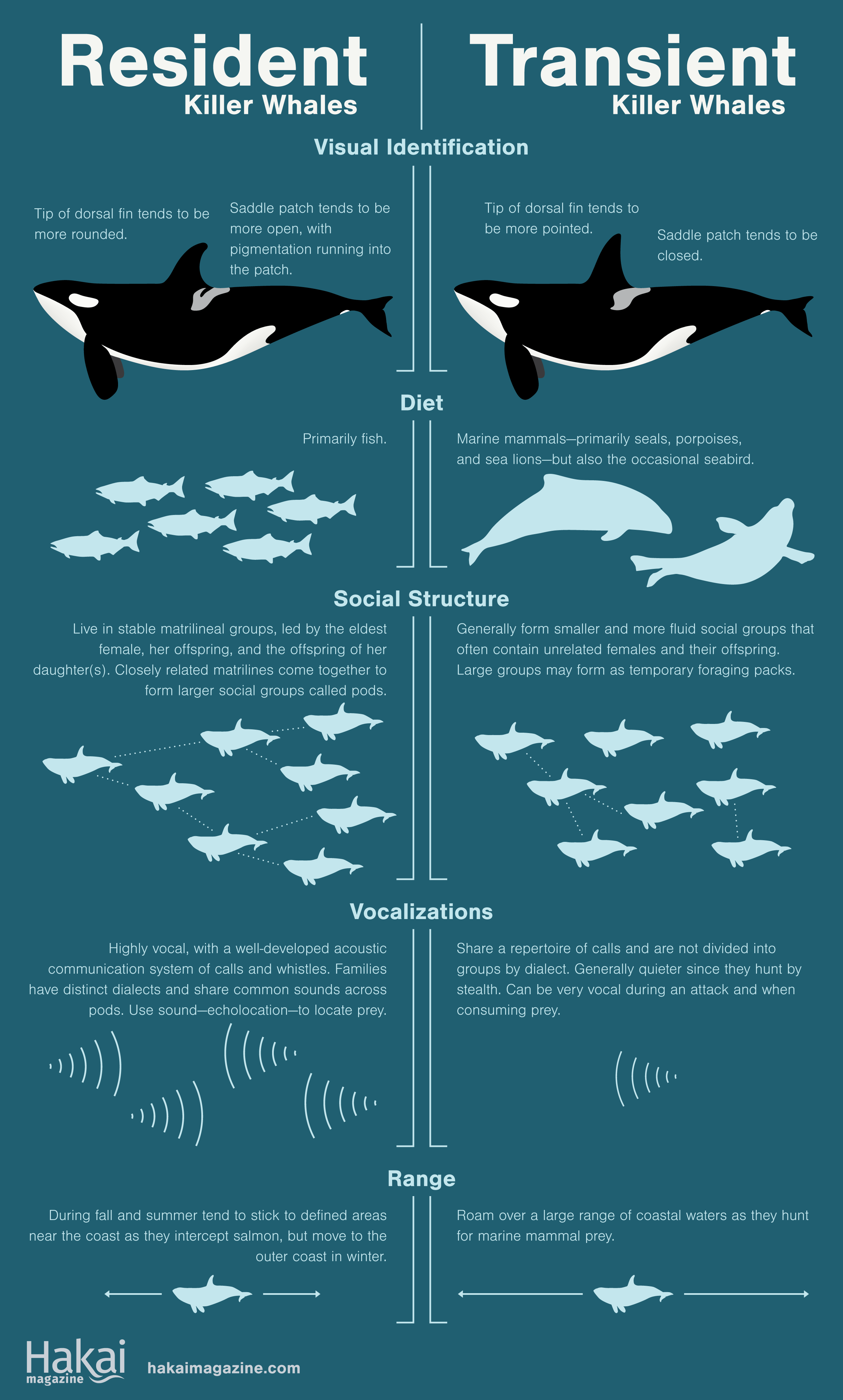 960px version of infographic-transients2.png