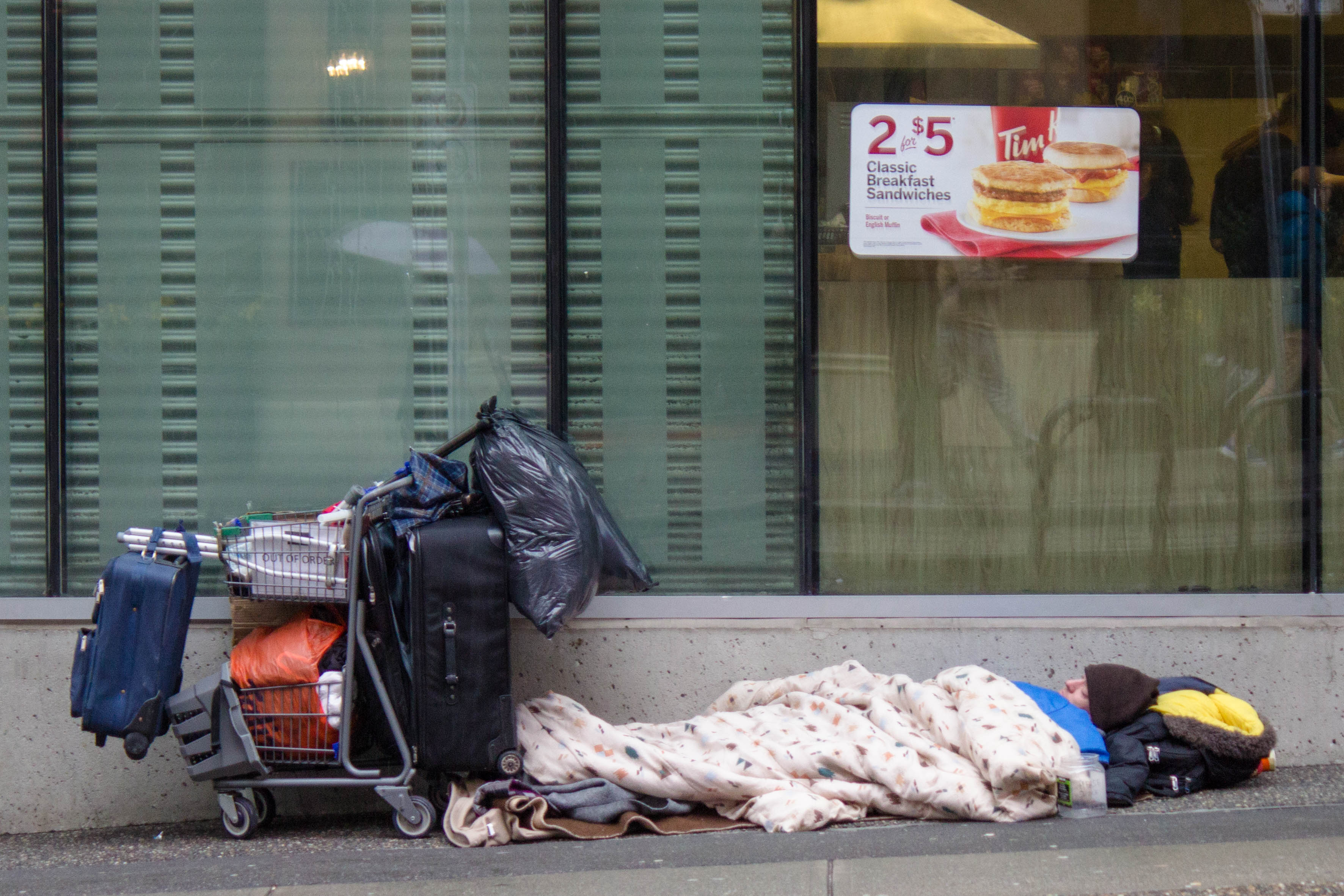 851px version of Homeless-Sleep-Cart.jpg