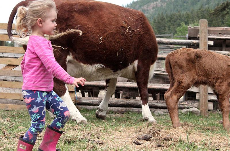 The High Cost of Being a BC Farmer