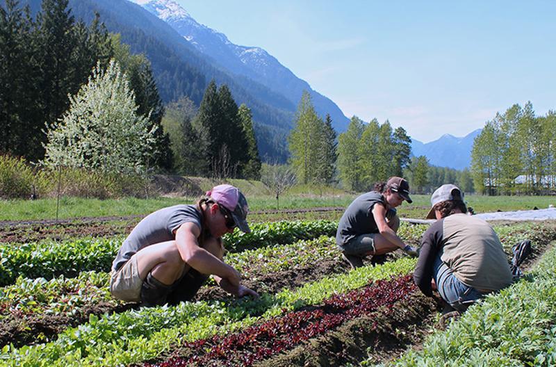 The New Face of Farming in BC