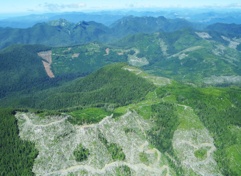 VancouverIslandClearcuts.jpg