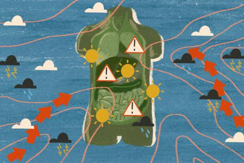 How the Climate Crisis Is Harming Health