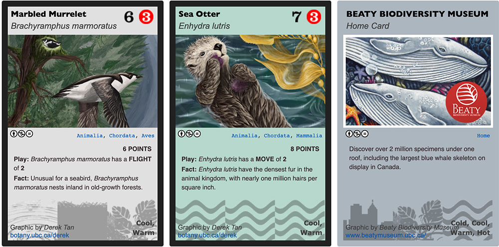 Introducing the Phylo Trading Card Game DIY Home School Activity