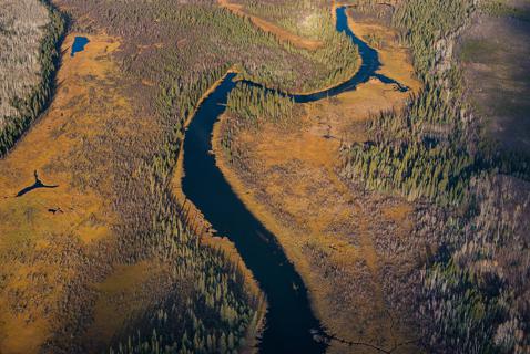 What the Teck Mine Will Destroy