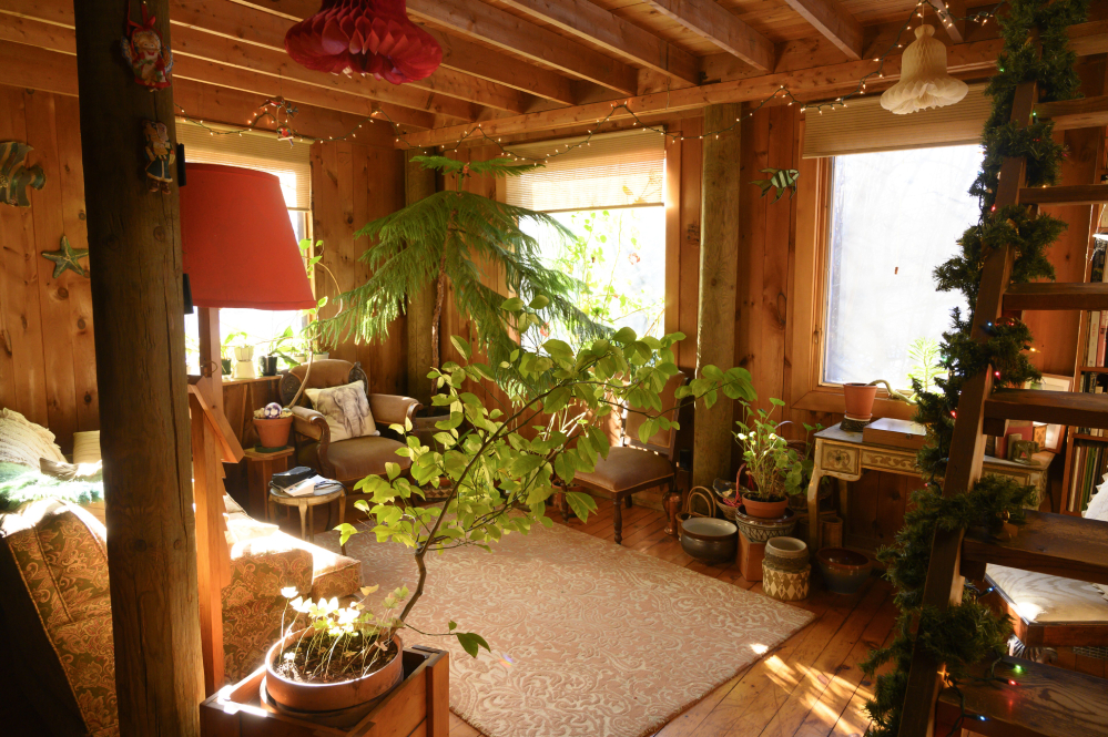 diana-living-room-with-tree-2.jpg