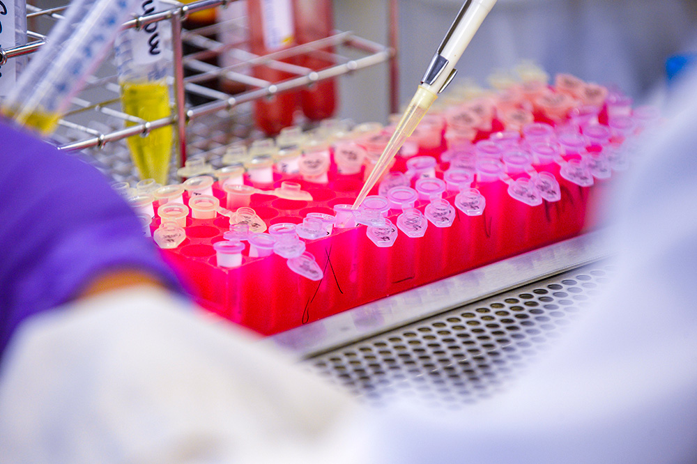 A closeup photo shows a collection of test tubes filled with red liquid. A glass instrument is being inserted in one of the tubes.