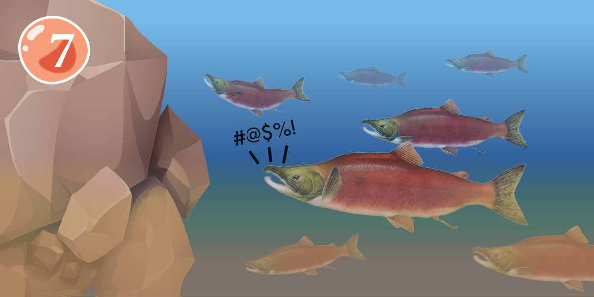 851px version of SalmonGauntlet7.jpg