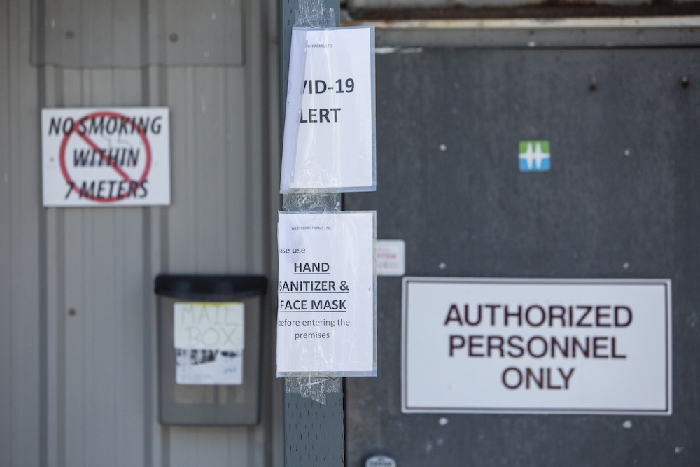 851px version of WestberryFarms-workers-signs.jpg