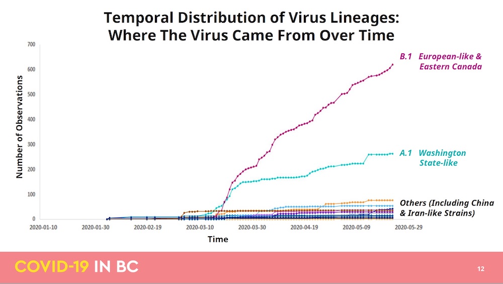 851px version of Virus_Lineage.jpg