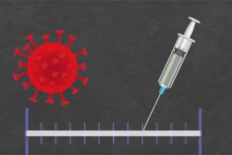 The Vancouver Company Turning Blood into a COVID Treatment: A Tyee Video
