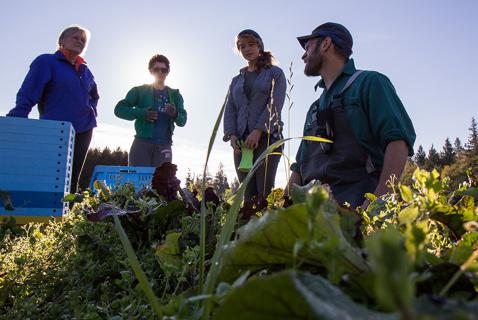 A Dozen Local Food Heroes on What a Pandemic Teaches