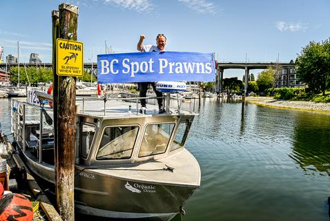 Shrimper Steve, the Spot Prawn King