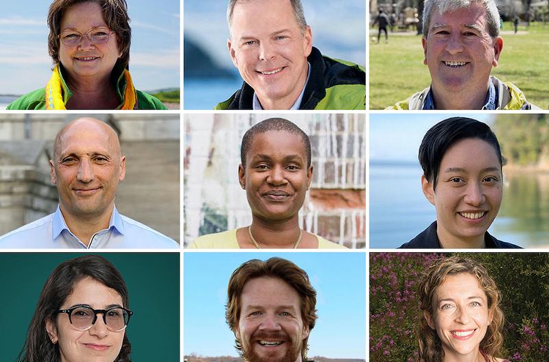 Where Are the Greens Going? Leadership Hopefuls Chart Different Courses