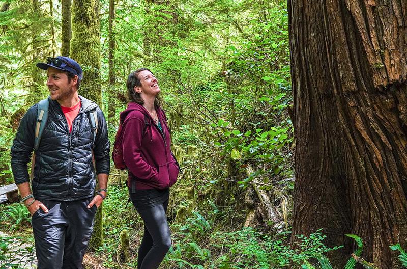 The New Faces of BC’s Old-Growth Activism