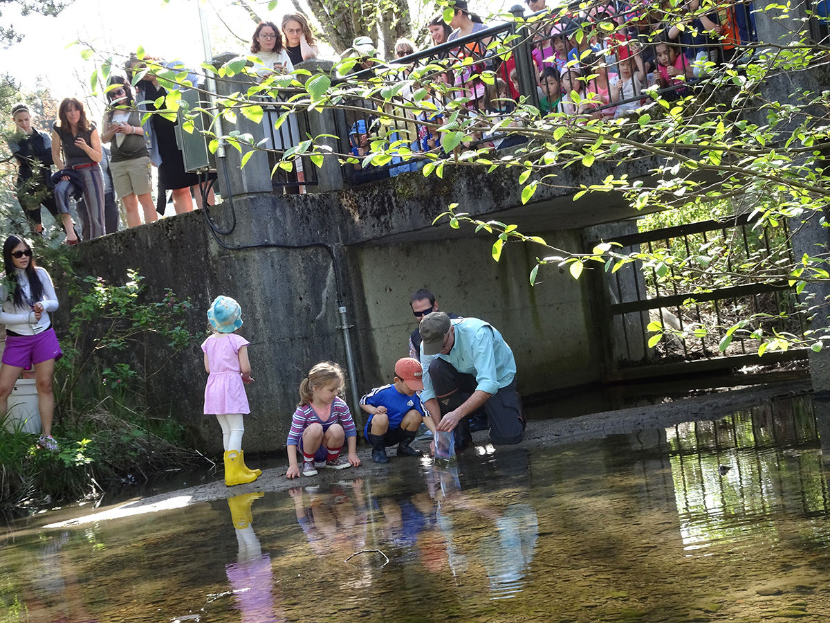 851px version of BurnabyGuichonCreekRelease.jpg