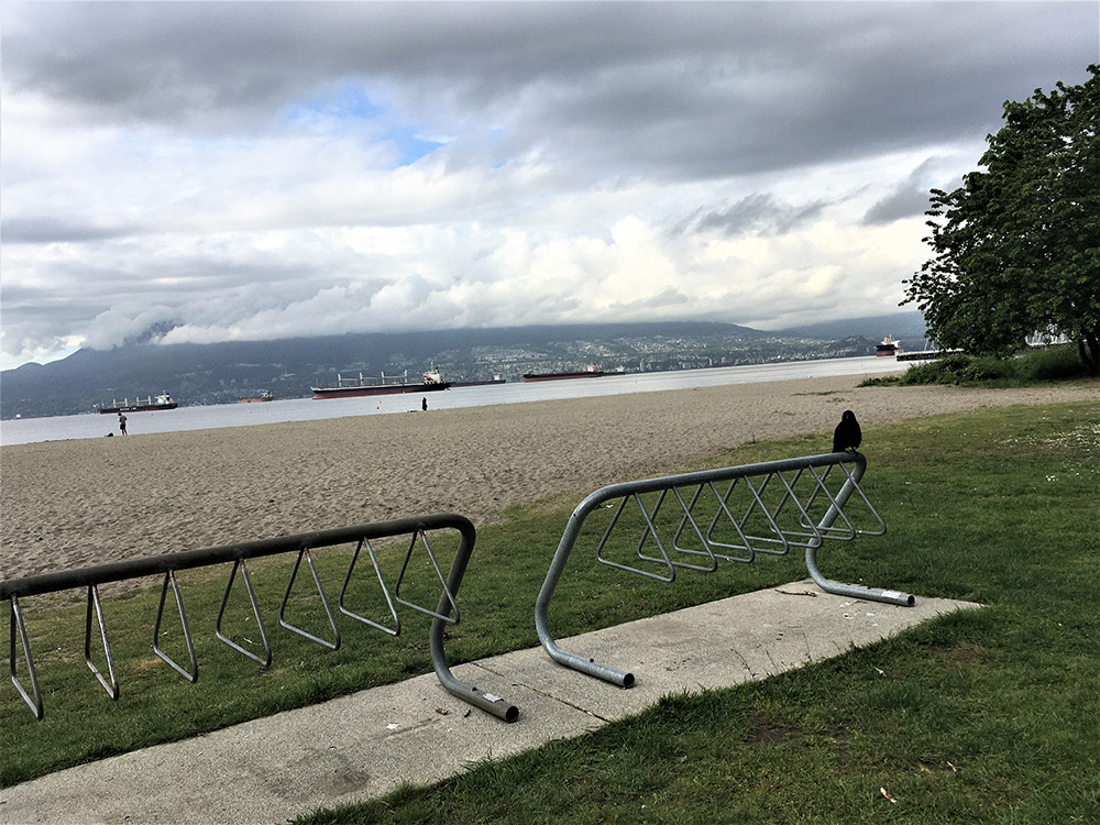 851px version of JerichoBeachCrowBikeRack.jpg