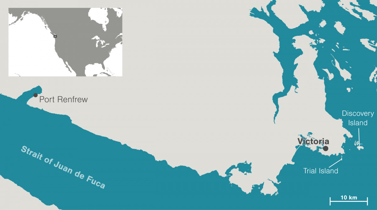 960px version of SouthVanIslandMap.jpg