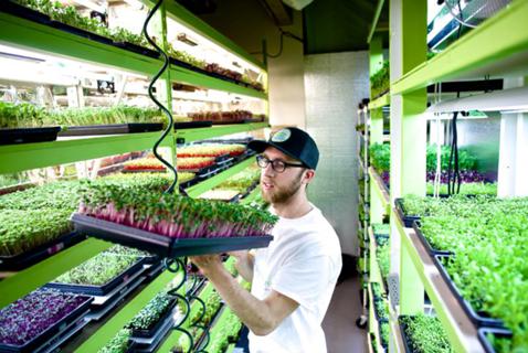 Urban Farmers Have Been Leaving Vancouver for Greener Pastures