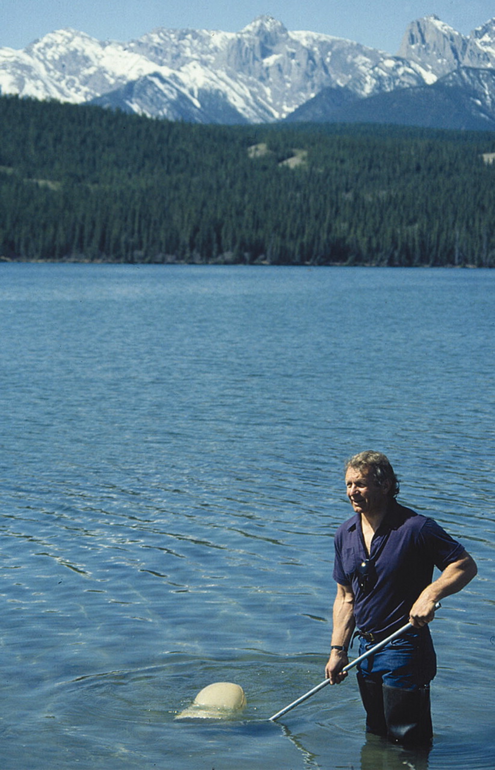 RAINBOW WARRIOR: ‘David Schindler’, The Scientific Giant Who Defended Fresh Water SchinlderJasperLakeMountainsSummer