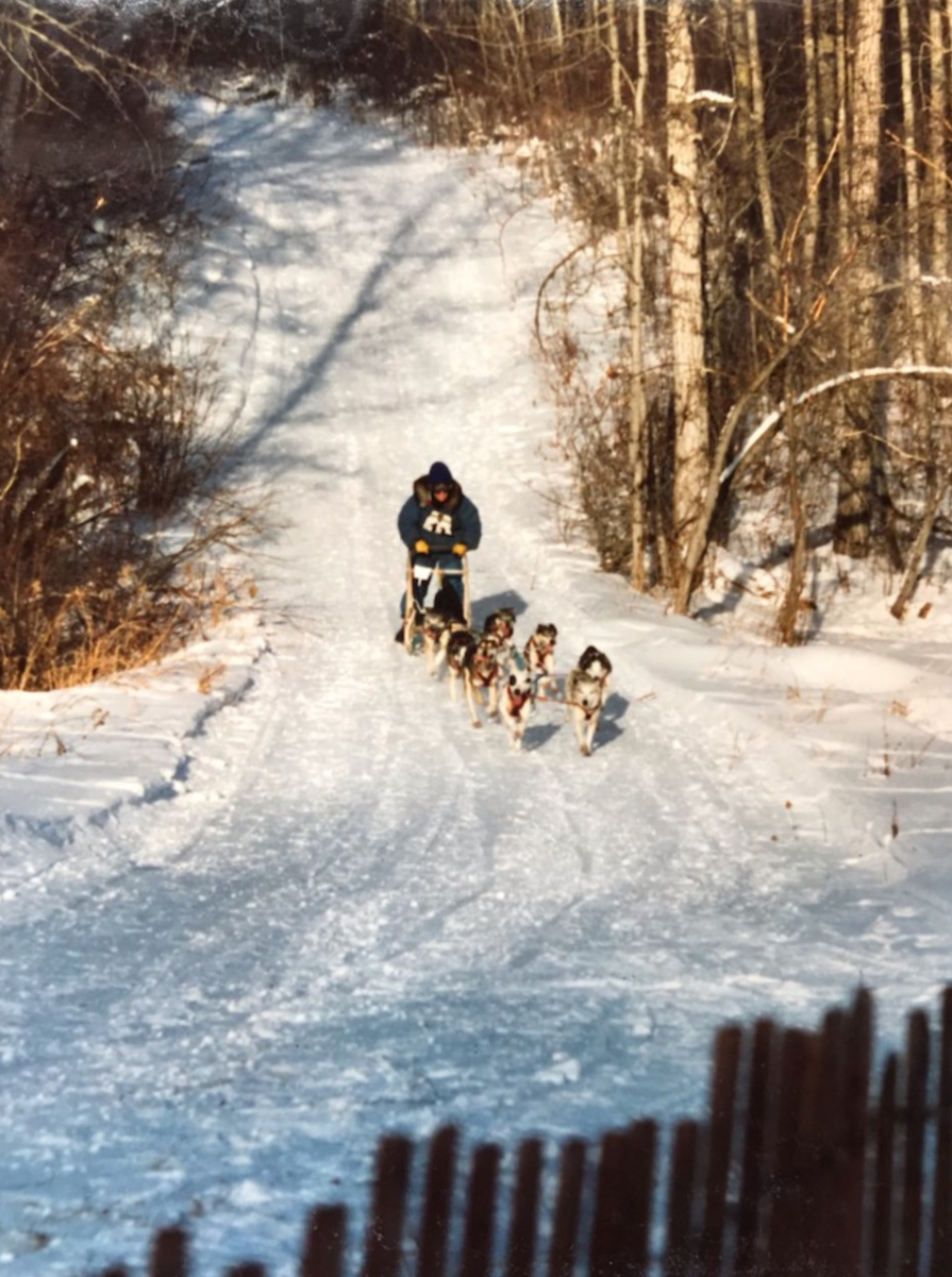 582px version of SchindlerSusanBayleyDogSledTeam.jpg