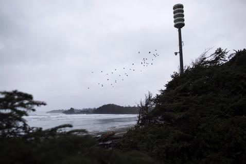 When the Tsunami Comes