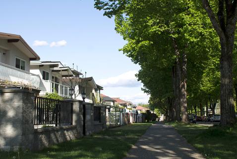 Where Does Vancouver’s Urban Forest Need to Grow Next?