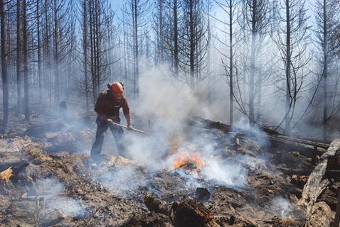 BC Abruptly Cancels Climate Action Grants for Municipalities