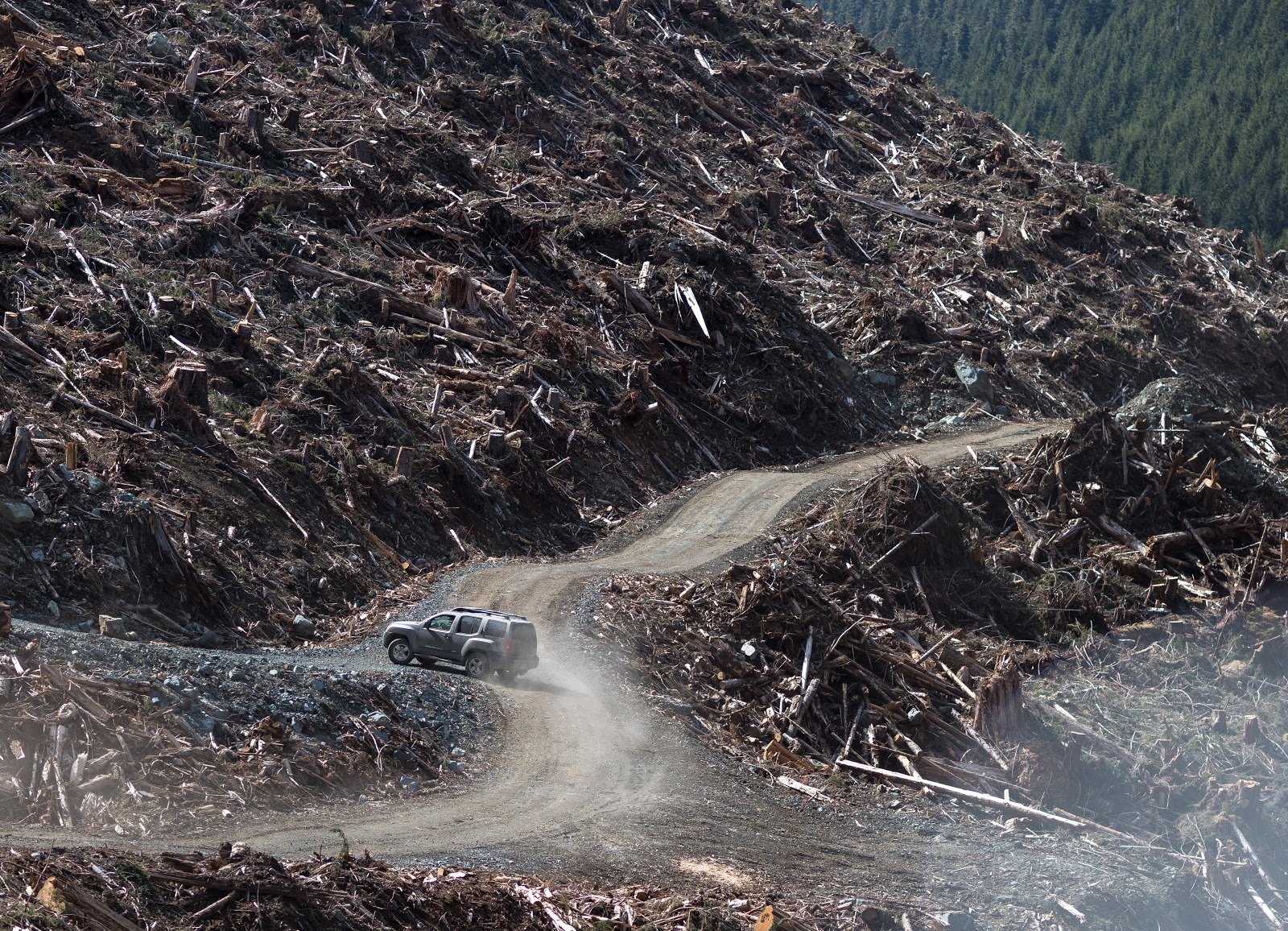 851px version of BC Timber Sales clearcut