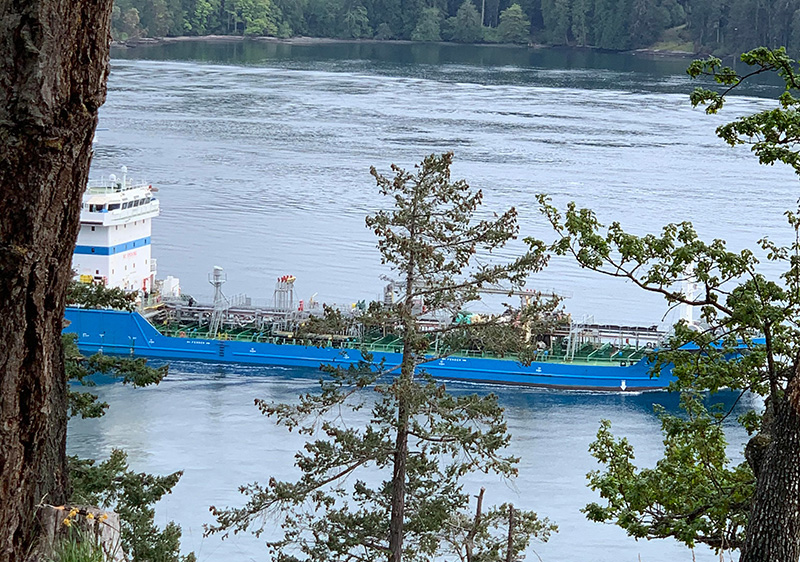'We're Not Going to See Tankers in Active Pass Ever Again' - Vimarsana News
