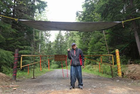 Indigenous Leaders Say BC Is Failing on Forestry and Reconciliation